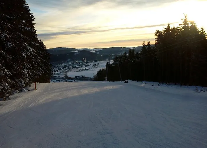 Haus Irmhild Willingen (Upland)